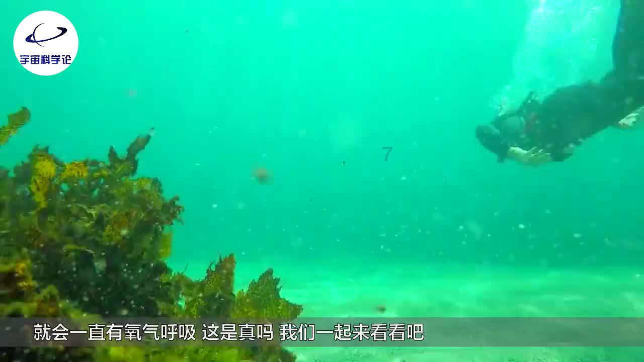 异形星球塔防